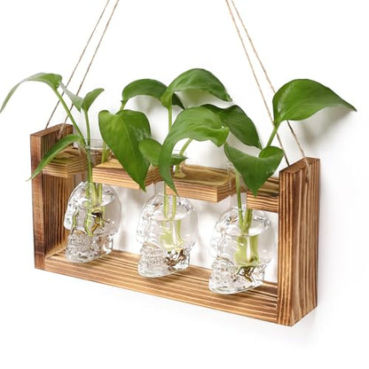 Plant Terrarium Propagation Stations Skull Planter Vase Skulls Decor - color: Transparent
