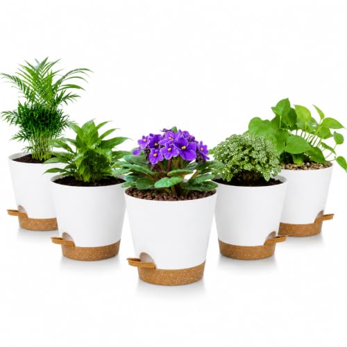 5 Pack 5 Inch African Violet Pots Self Watering, Self-Watering Planters with Drainage Holes & Reservoir, White Brown Plastic Pots for Indoor Outdoor Plants, Succulents & Flowers - color: White Brown, size: 5 inch 5 pcs