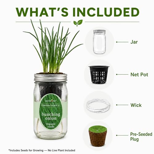 Hydroponic Vegetable Growing Kit, Self-Watering Mason Jar Vegetable Garden Starter Kit Indoor, Grow Bunching Onion from Organic Seeds (bunching Onion) - color: bunching onion