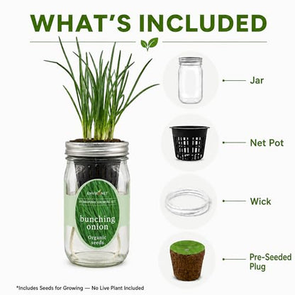 Hydroponic Vegetable Growing Kit, Self-Watering Mason Jar Vegetable Garden Starter Kit Indoor, Grow Bunching Onion from Organic Seeds (bunching Onion) - color: bunching onion