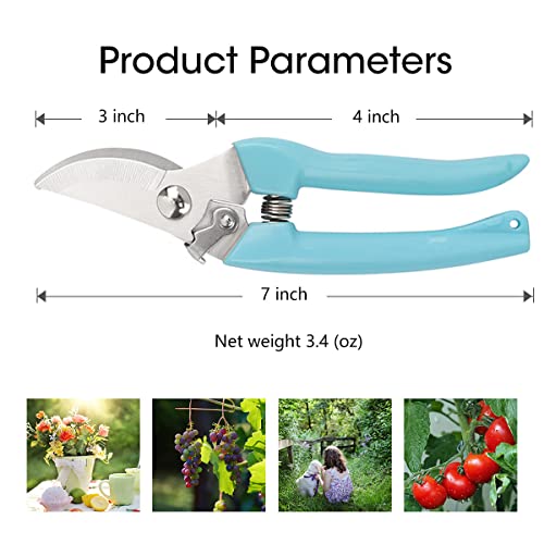 Leize Pruning Shears, Gardening Hand Pruner, Floral Shears, Strong Pruner for Flowers, Branches and Leaves (LightBlueA) - color: Lightbluea