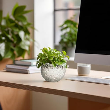 Ceramic Plant Pots 4 Inch, Small Ceramic Planter, Beige-Grey - color: Beige-grey, size: 4.5 Inch
