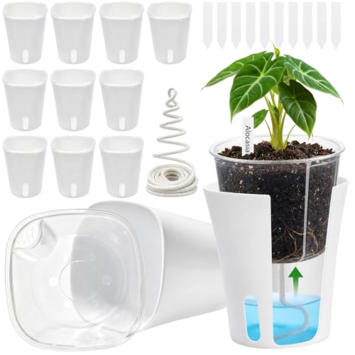 4 Inch Self Watering Pots for Indoor Plants, 10 Pack Clear Nursery Pots with Drainage & Water Level Indicator, Plant Pots for African Violet, Flowers, Herbs - size: 4 Inch