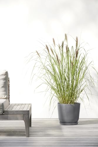 Ecopots Oslo Round Flower Planter, Grey, 10" - color: Gray, size: 10"