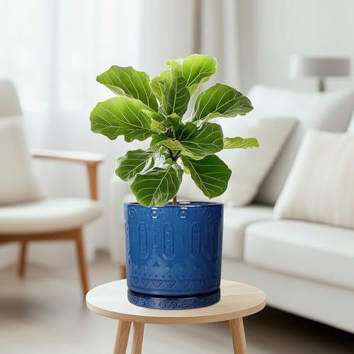 Eightpot Ceramic Planter - 8 Inch Plant Pot Indoor with Drainage Holes and Saucer Round Planter Outdoor Mid-Century Modern Flower Pot Succulent Pot for Home Decor Blue - color: Blue, size: 8 Inch