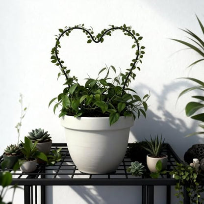 Trellis for Potted Plants, Small House Plant Support, Indoor Plant Trellis for Climbing Plants (Circle and Heart Shape)