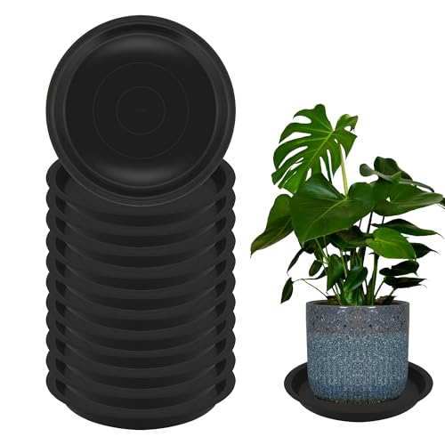 12 Pcs 6 Inch Round Plant Saucers for Less 5 Inch Pot Indoors Outdoors Plant Trays for Pots Planter Saucer Plastic Drip Tray Planter Water Tray (Black, 6"(12pcs)) - color: Black, size: 6"(12pcs)