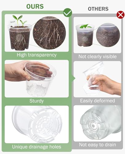 homenote 3 Inch Clear Nursery Pots with Drainage Holes and Labels (30 Pcs) - color: Transparency-no Lid, size: 3 Inch-30 Pack