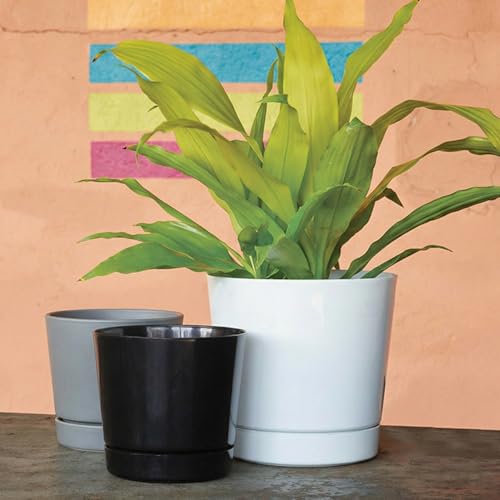 Root & Vessel Majestic Full Depth Round Cylinder Pot, Glossy Gray, 6-Inch (10060) - color: Gray, size: 6 Inch