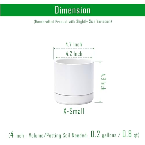 D'vine Dev 2-Pack Ceramic Pots with Saucers, White, 4.7 in, 94-V-B-1 - color: White, size: 4.7 Inch