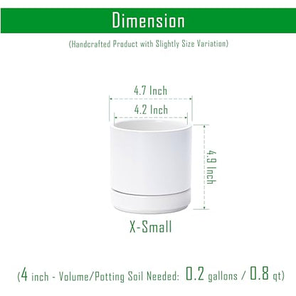 D'vine Dev 2-Pack Ceramic Pots with Saucers, White, 4.7 in, 94-V-B-1 - color: White, size: 4.7 Inch