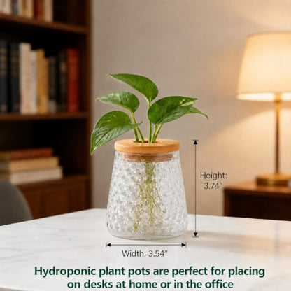 Desktop Plant Hydroponic Vases, Water Plant Jars, Gardening Gifts for Office and Home, Outdoor, Transparent Ripple Pattern - color: Transparent Ripple Pattern