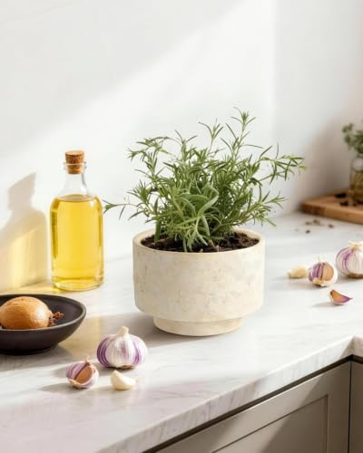 Succulent Pots, 8"+6" Plant Pots, Ceramic Planters for Indoor Plants - color: Beige