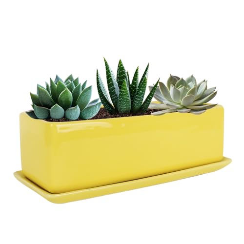 Vencer 14 Inch Rectangular Modern Minimalist Ceramic Succulent Planter Pot - Window Box with Saucer,Office Desktop Potted Stand,Yellow,VF-0173Y - color: Yellow, size: 14 Inch