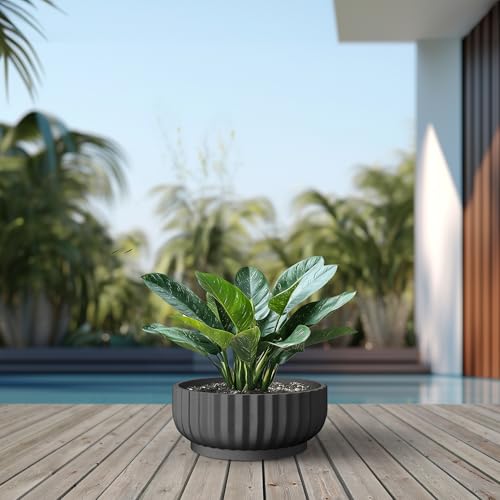 Kante Large Round Shallow Black Concrete Planter 20.9" Dia, Outdoor - color: Black, size: 20.9"w x 8.3"h