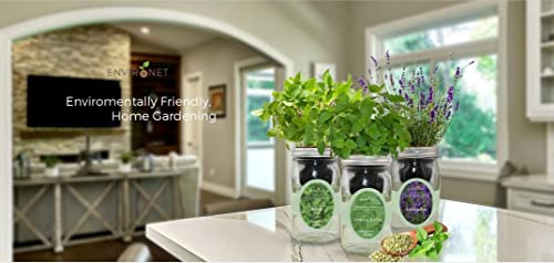 Hydroponic Herb Growing Kit, Self-Watering Mason Jar Herb Garden Starter Kit Indoor, Windowsill Herbs Garden, Grow Your Own Herbs from Organic Seeds (Chamomile) - color: Chamomile
