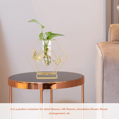 IMIKEYA Glass Test Tube Vase with Butterfly Frame Stand