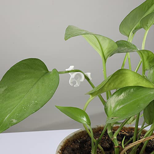 LucyPhy 60 Pack Plant Bender Angle Adjustable Plant Training Clips Low Stress Training Clips 90 Degrees Plant Stem(Circle Style,White) - color: White, size: 60Pack