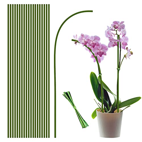 20Pcs Plant Stakes, 18IN Orchid Support Stakes for Indoor Plants - size: 18 Inches