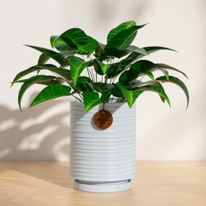7.1 Inch Blue Ceramic Planter with Drainage and Saucer - color: Light Blue, size: Large