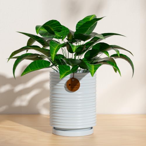 5.1 Inch Blue Ceramic Planter with Drainage and Saucer - color: Light Blue, size: Small