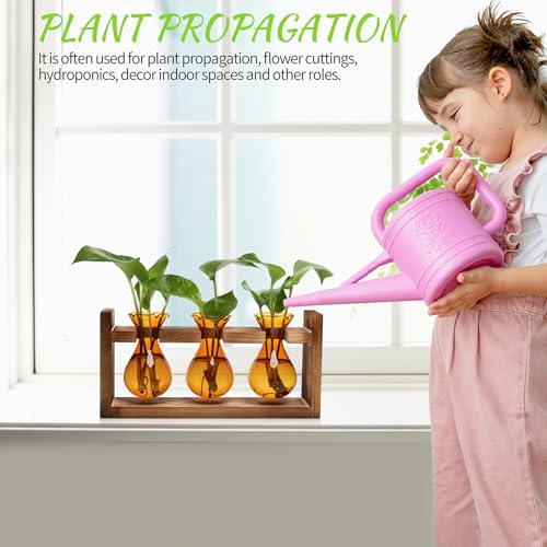 Plant Propagation Station Plant Terrarium Unique Birthday Gifts for Women - color: Amber