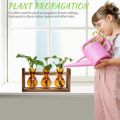 Plant Propagation Station Plant Terrarium Unique Birthday Gifts for Women - color: Amber