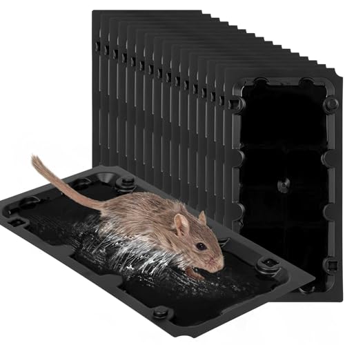 20 Pack Glue Sticky Mouse Trap Rat Traps Indoor for Home Rats, Snake - size: 20Pack