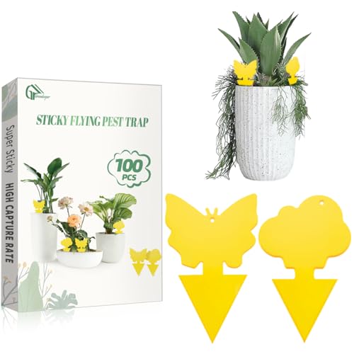 100 Pcs Sticky Traps for Fungus Gnat (Plants), Fruit Fly, Whitefly, and Fly, Yellow Sticky Insect Catcher Traps for Indoor/Outdoor, Kitchen, and Plants, High-End Glue, Non-Toxic (100 Pcs Yellow) - color: Yellow