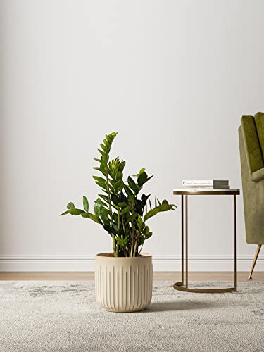 LE TAUCI Ceramic Pots for Plants, 8.3/7/6 Inch Indoor Planters with Drainage Holes & Mesh, Modern Glossy Glaze Cylinder Fluted Plant Pot for Snake Plant, Set of 3, Sand Beige - color: Sand Beige