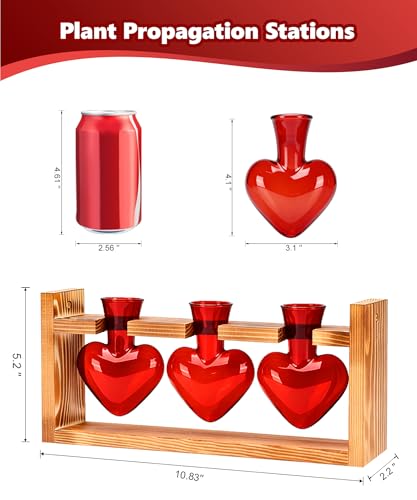 Nacome Plant Terrarium with Wooden Stand, 3 Heart Bulb Glass Vases - color: Red