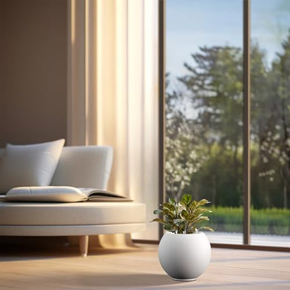 Kante Small Round Sphere White Concrete Planter 11" Dia, Outdoor - color: White, size: 11"w x 9.4"h