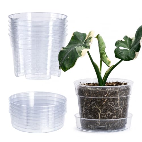 6 Inch Clear Plastic Plant Pot with Drainage Holes, Interlocking & Detachable Tray - Deep Saucer - Durable BPA-Free Plastic, Transparent Design, Raised Base for Airflow, Set of 6, 92-X-A-4 - size: 6" x 4.3"
