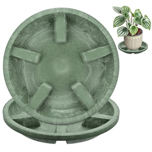M METERXITY 2-Pack Plant Saucers, 8 Inch OD Anti-Rot Root Resin Flower Pot Plant Saucers for Indoor/Outdoor, Flowerpot Drip Tray [6.3 Inch ID, Green] - color: Green, size: 8 Inch OD