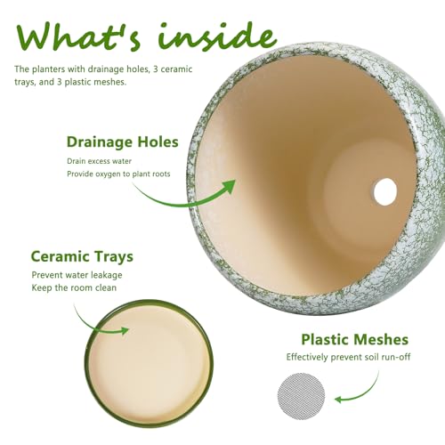 Ceramic Pots for Plants, 10+8+6 Inch Ceramic Planter Indoor, Green - color: Blackish Green