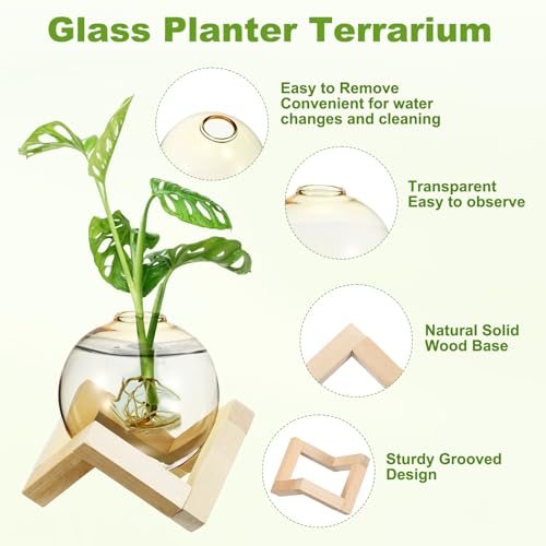 M METERXITY 2 Pack Glass Planter Terrarium with Wooden Stand, Desktop Plant Propagation Station Bulb Vase for Hydroponic Plants Propagation/Home Garden Decor/Plant Lover [Yellow] - color: Yellow