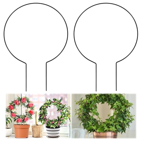 2 Pack Round Plant Trellis for Indoor Potted Plants, Acrylic Small Trellis for Climbing Plants Indoor Outdoor Plant Support for Hoya Pothos Vine Ivy Monstera Flower Philodendrons Dischidia