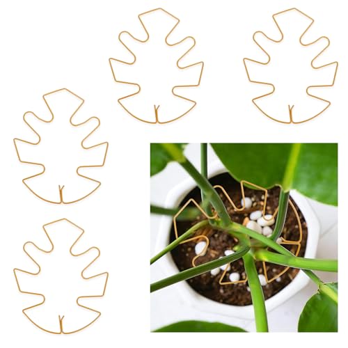 4PCS Iron Monstera Plant Support for Indoor Plants Plant Stem Holder Plant Stuff Plants Rings for Support Stabilizer for Monstera Bamboo Flower for Growth Garden Tools Gifts for Gardeners - color: Gold, size: 5.1" X 6.29"