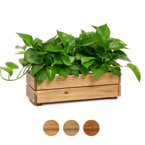 THYOI Premium Wooden Planter Box, Storage Box - 3 Colors (Golden Teak) - color: Golden Teak