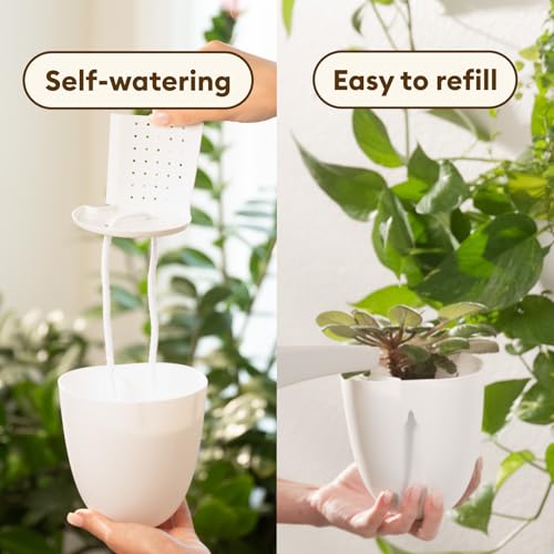 PlantPod Classic - Self-Watering Wall Planters (9, White) - Easy to Water and Install - Lightweight - Design Your Own Vertical Garden - Wall Planters for Indoor Plants