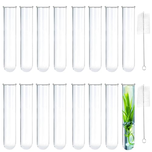 16 Pcs Clear Test Tubes for Plant Propagation 30ml Large Glass Test Tube Bottom Propagation Tubes Hydroponic Test Tube for Hydroponic Flowers Home Offce Desktop Decoration - size: Glass