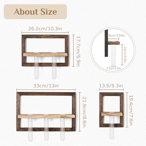 Wall Propagation Station Set with Glass Tubes