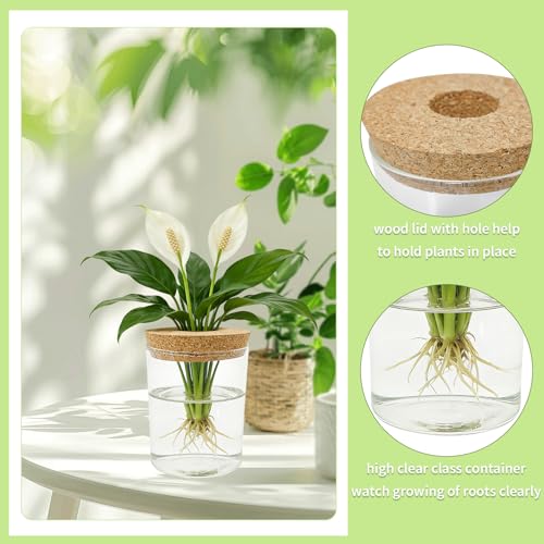 4 Pack Glass Plant Propagation Station,Desktop Vases for Home Office Decor