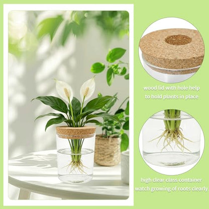 4 Pack Glass Plant Propagation Station,Desktop Vases for Home Office Decor