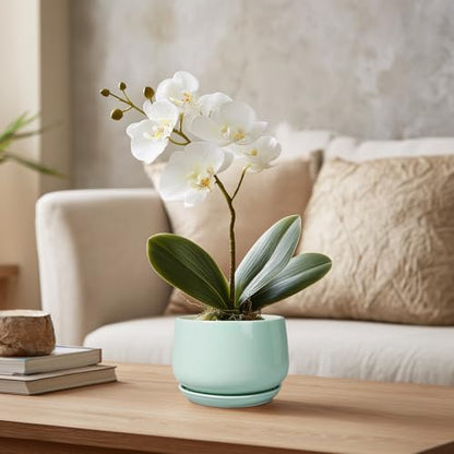 G EPGardening Ceramic Plants Pots - 4 inch Plant Pots Indoor, Green - color: Mint Green, size: 4 Inch