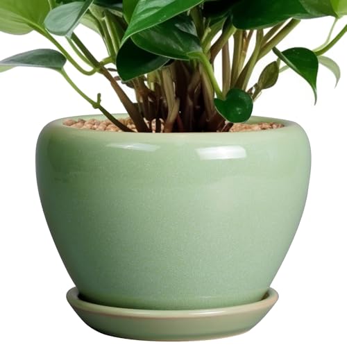 Ceramicfor 6 Inch Plant Pot - Ceramic Planter for Indoor Plants Round Planter Outdoor Plant Pot with Drainage Hole and Saucer Modern Flower Pot for Succulent Garden Green - color: Reactive Green, size: 6 Inch