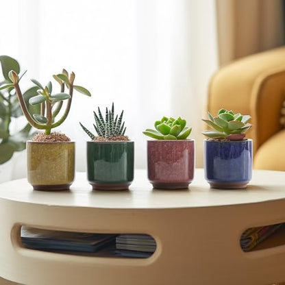 T4U Mini Succulent Pots, Small Ceramic Planters, Retro Gift Set of 6 - size: 2.4"*2.4"