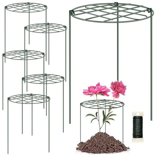 6 Pack 12 x 16 Inch Peony Cages and Supports for Outdoor Plants - size: 6pack/12 X 16 inch