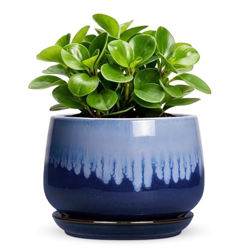 Ceramic Flower Pots, 6 Inch Plant Pot Indoor with Saucer, Deep Blue - size: 6 Inch, style: Deep Blue