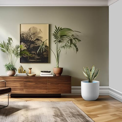 Kante Large Round Capsule White Concrete Planter 16.5" Dia, Outdoor - color: White, size: 16.5"Dia x 16.5"H